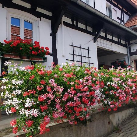 Ferienwohnung Gite Rue De L'Ange Hunspach Exterior foto