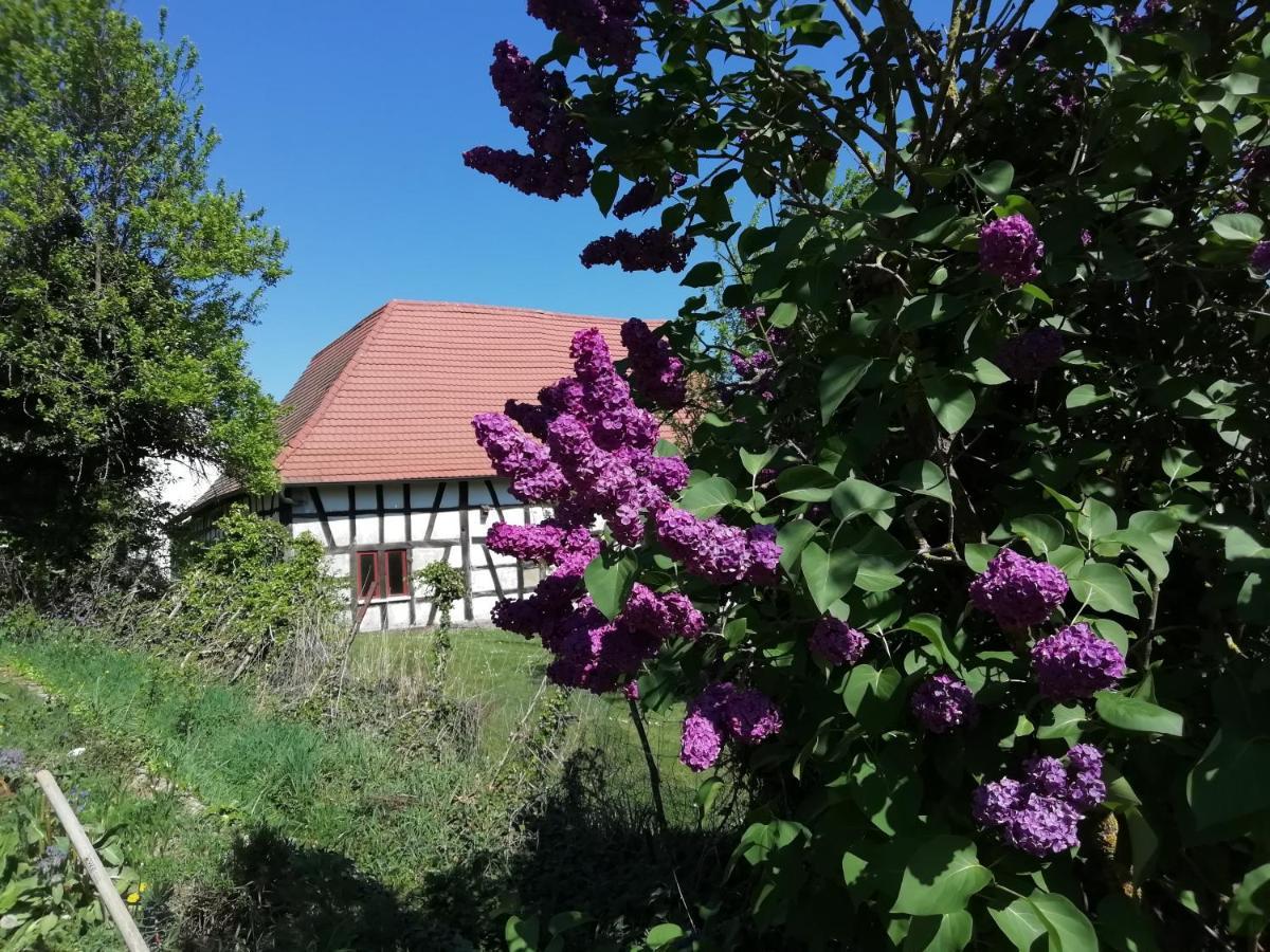 Gite Rue De L'Ange Hunspach Exterior foto