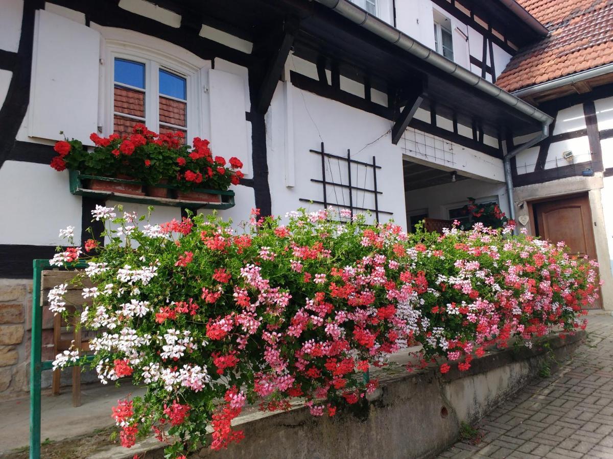 Ferienwohnung Gite Rue De L'Ange Hunspach Exterior foto