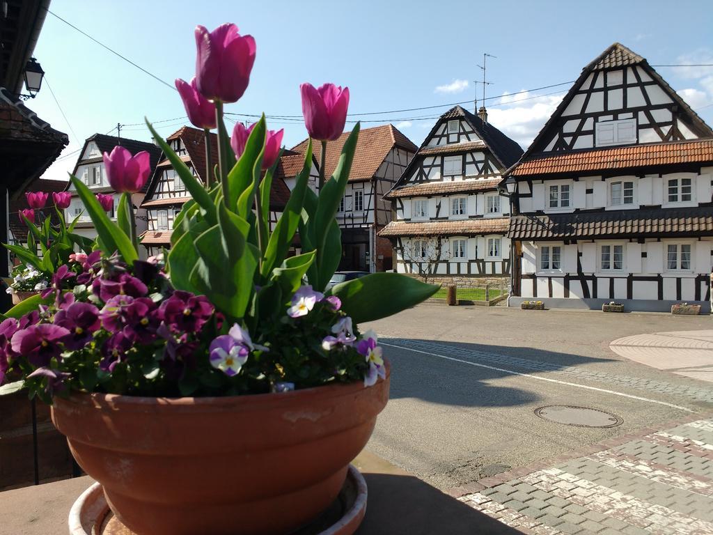 Ferienwohnung Gite Rue De L'Ange Hunspach Exterior foto